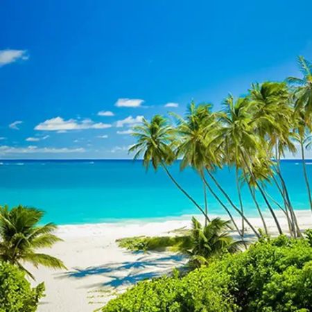 Самолетна почивка в Република Доминикана, Пунта Кана с полет от Мадрид 9 дни 7 нощувки на All Inclusive от АБВ Травелс