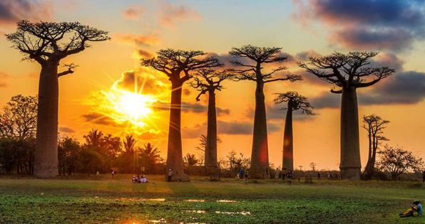 Настаняване по програма Мадагаскар и Мавриций - Едно вълнуващо пътешествие до двата екзотични острова през 2026