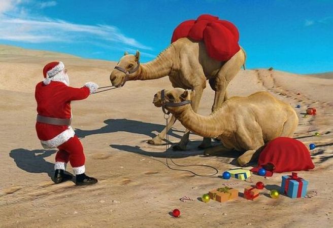 Коледа - Чартър до Шарм Ел Шейх от София - 5 нощувки