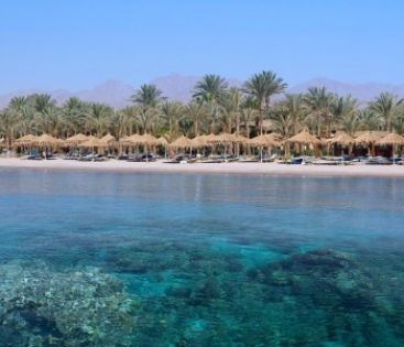 JAZ SHARM DREAMS RESORT